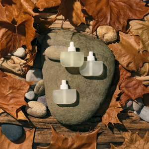 Secret Best Sellers Home Scent Diffuser